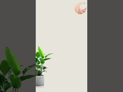 Video de ciegas celulares